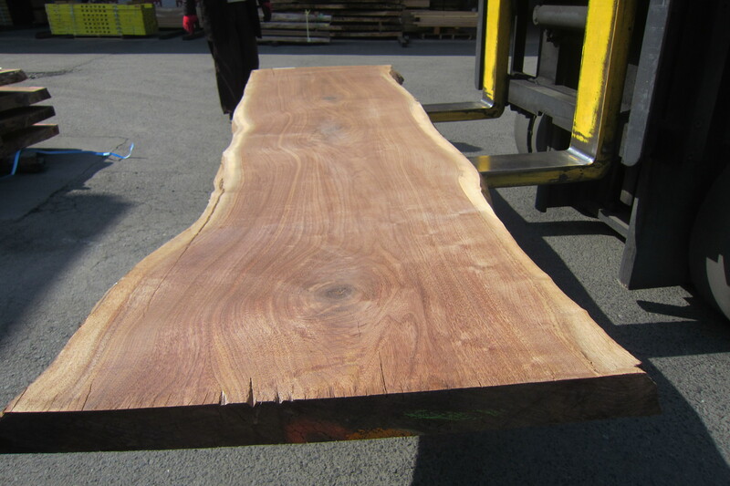 ブラックウォールナット 7