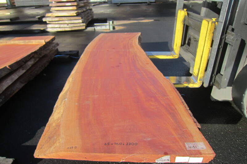 シンガポールマホガニー