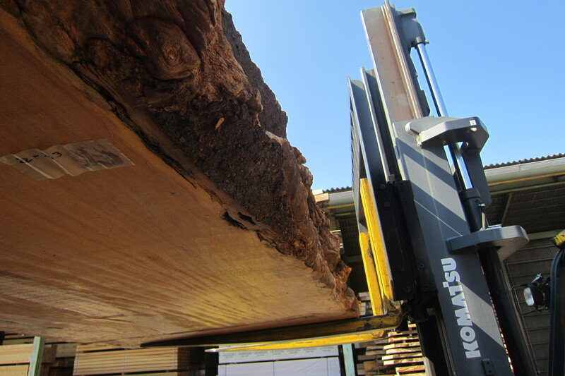 マーブルウッド 8