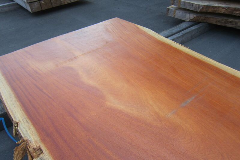 シンガポールマホガニー