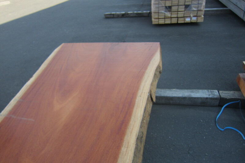 シンガポールマホガニー 5