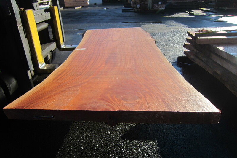 シンガポールマホガニー 6