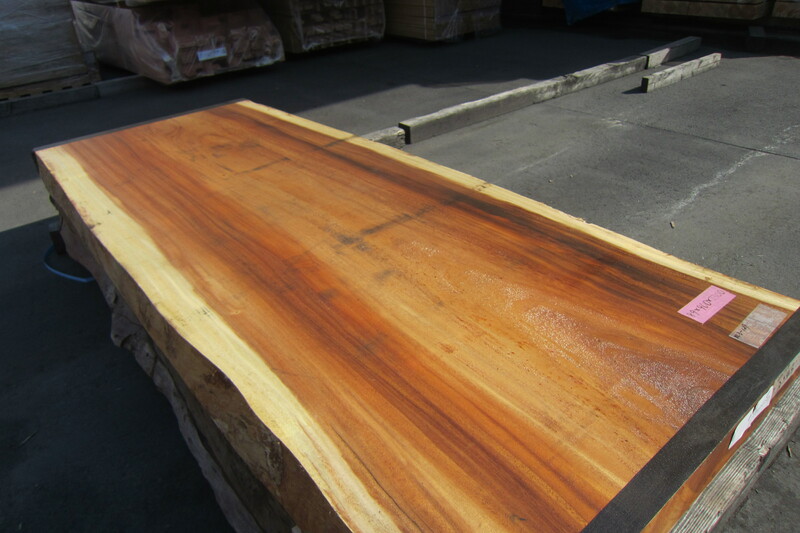 モンキーポット 3