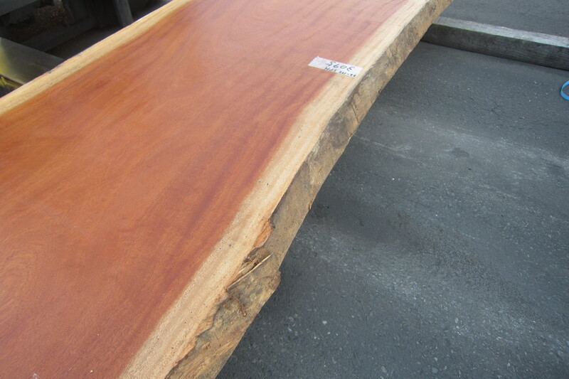 シンガポールマホガニー 4