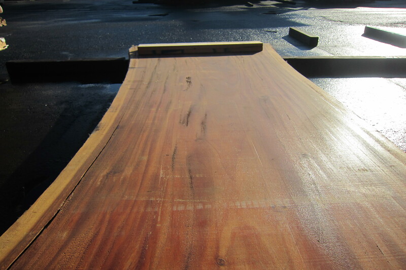 モンキーポット 4