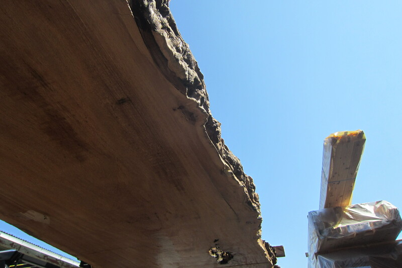 マーブルウッド 4