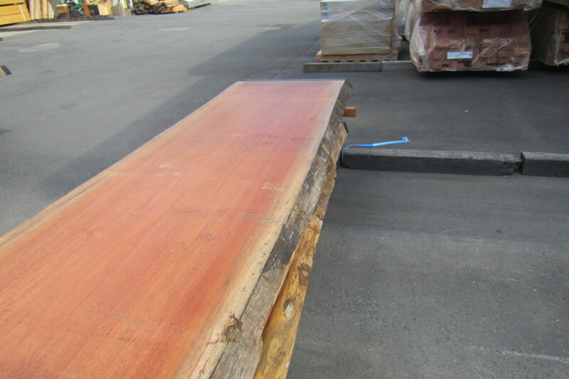 アフリカンマホガニー 4