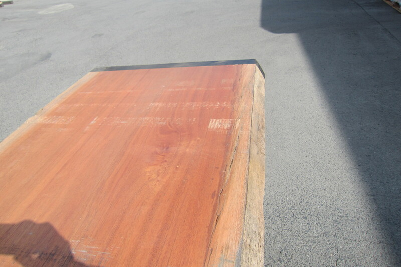 アフリカンマホガニー 7