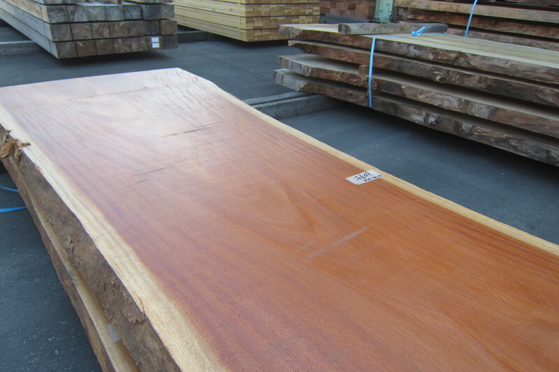 シンガポールマホガニー 9