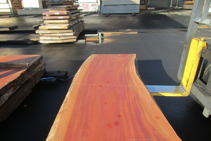 シンガポールマホガニー 3