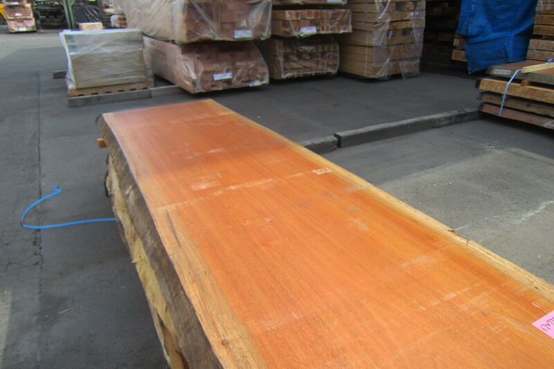 アフリカンマホガニー 3