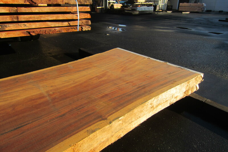 モンキーポット 5