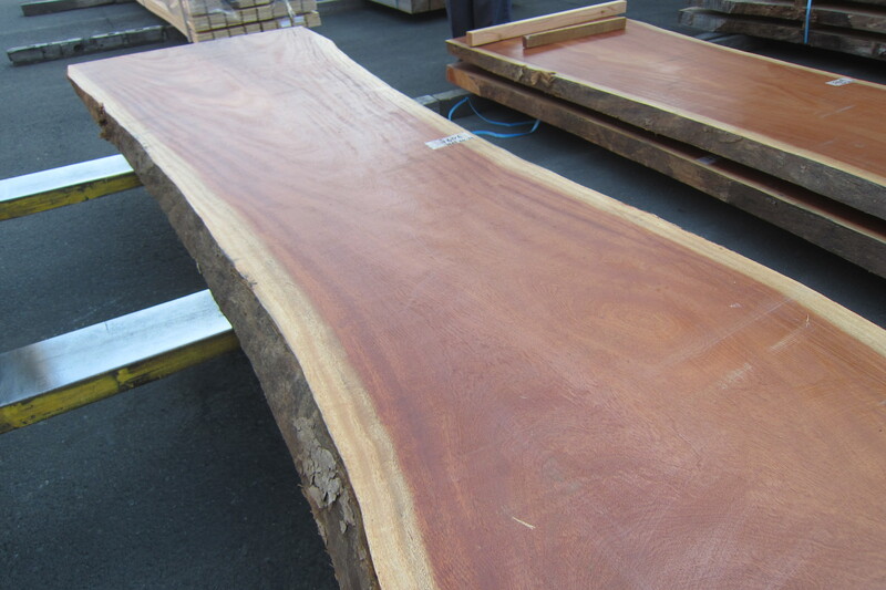 シンガポールマホガニー 2