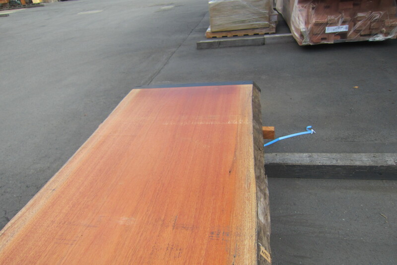 アフリカンマホガニー 5