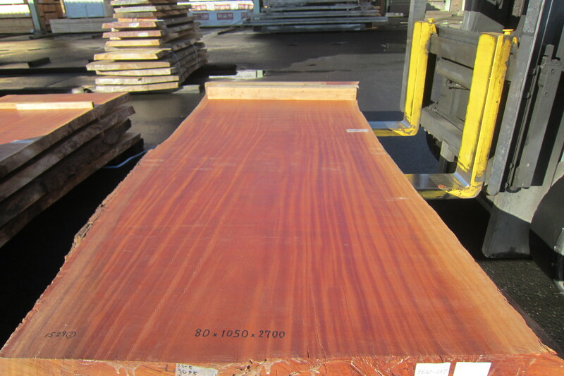 シンガポールマホガニー