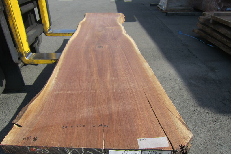 ブラックウォールナット 2