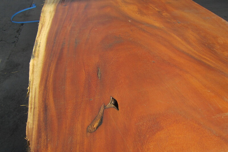 モンキーポット 4