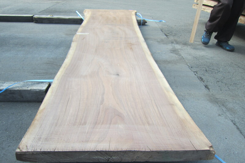 ブラックウォールナット 6