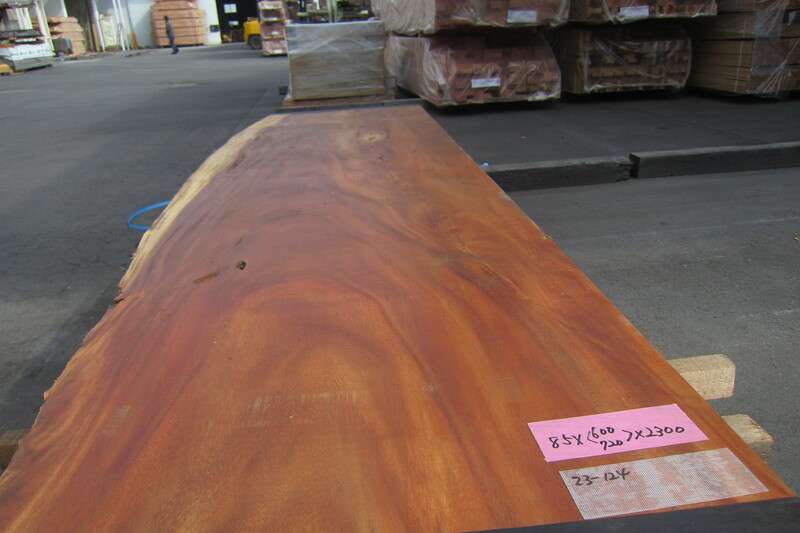 モンキーポット 2