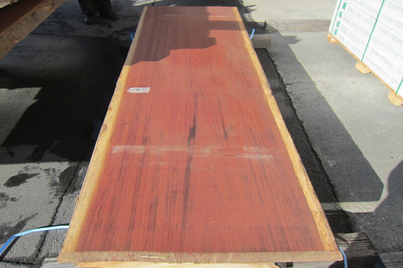 パープルハート 5