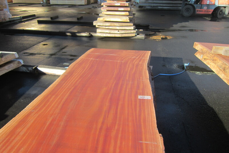 シンガポールマホガニー 3