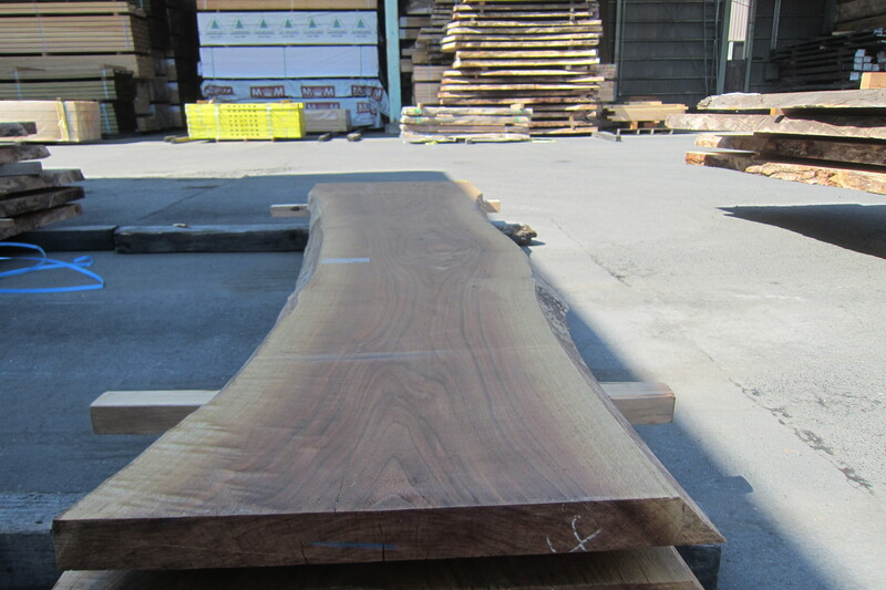 ブラックウォールナット 6