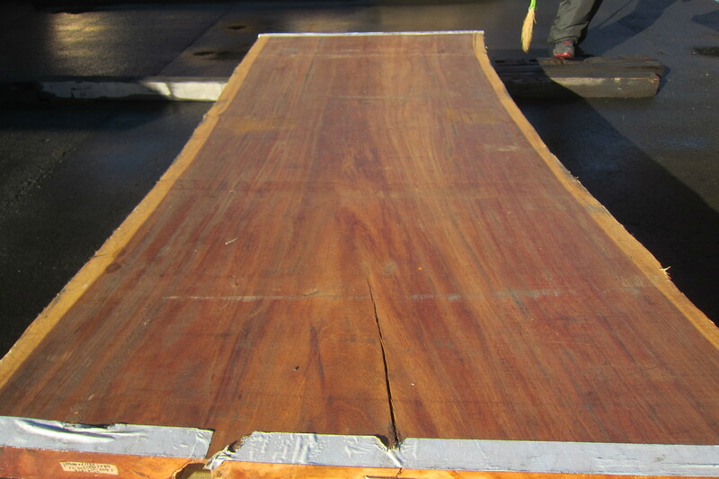 モンキーポット 7