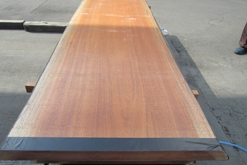 アフリカンマホガニー 8