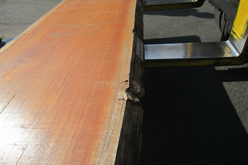 アフリカンマホガニー 8