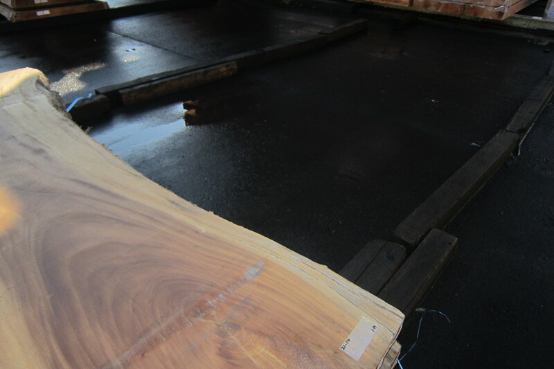 モンキーポット 3